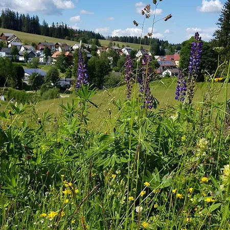 Apartment Morgensonne Schoenwald im Schwarzwald
