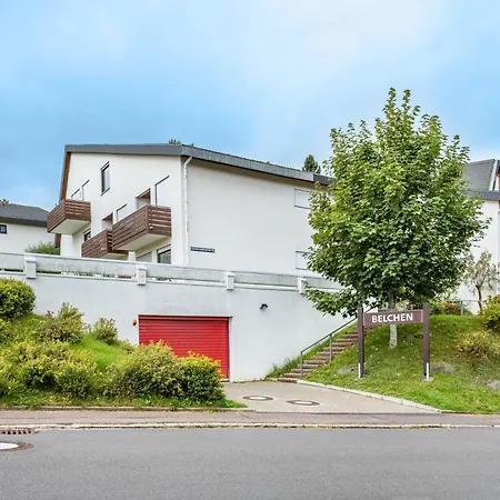 Morgensonne Schoenwald im Schwarzwald