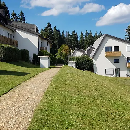 Morgensonne Schoenwald im Schwarzwald